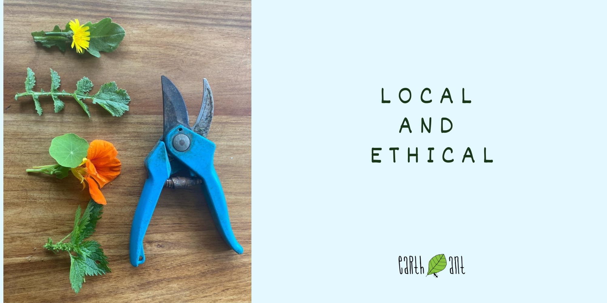 Earth Ant Local and Ethical